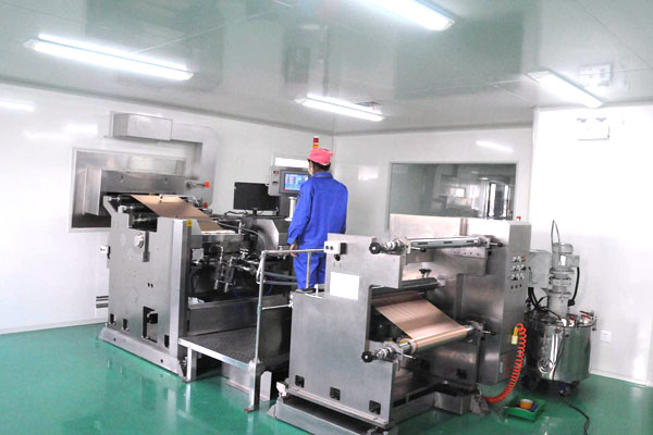 Manufacturer Workshop 3
